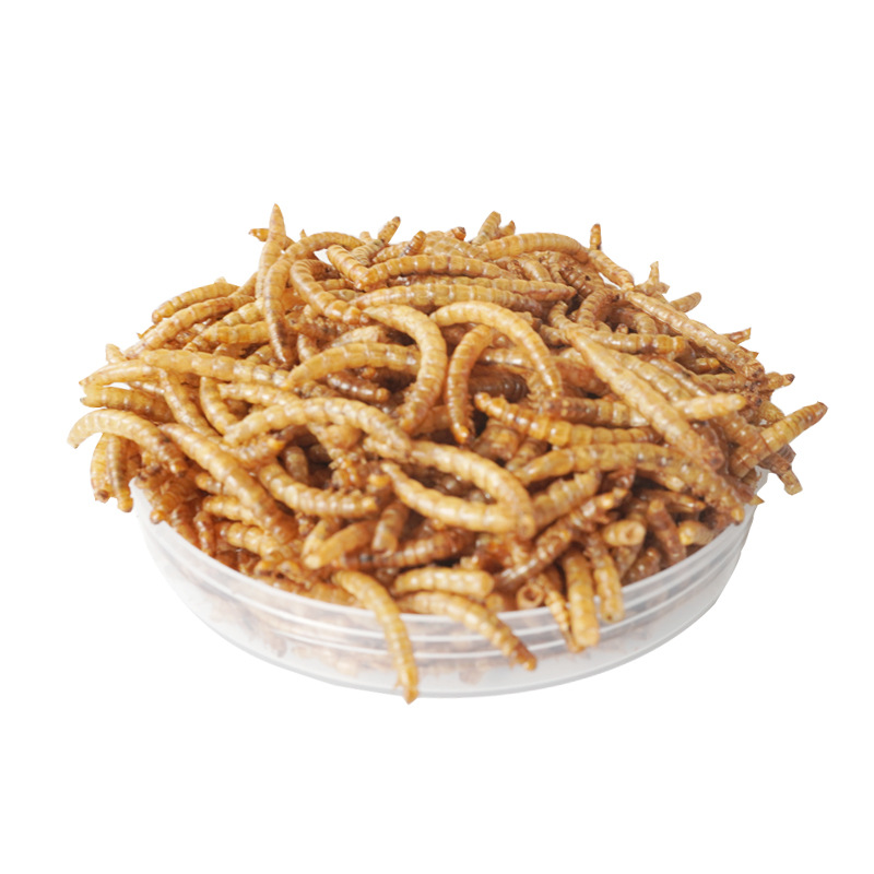 Food Snacks With High Protein - 고단백 간식 햄스터 사료 새 고슴도치