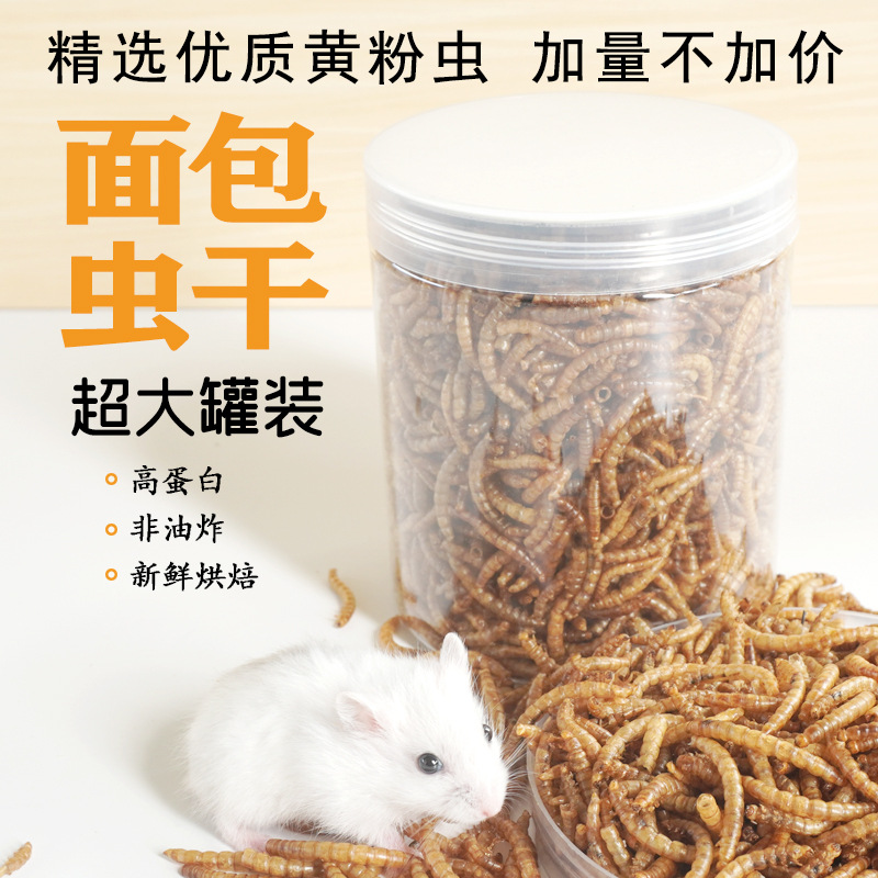 고단백 간식 햄스터 사료 새 고슴도치 기니피그 아로와나 - Food Snacks With High Protein 리뷰 및 가격