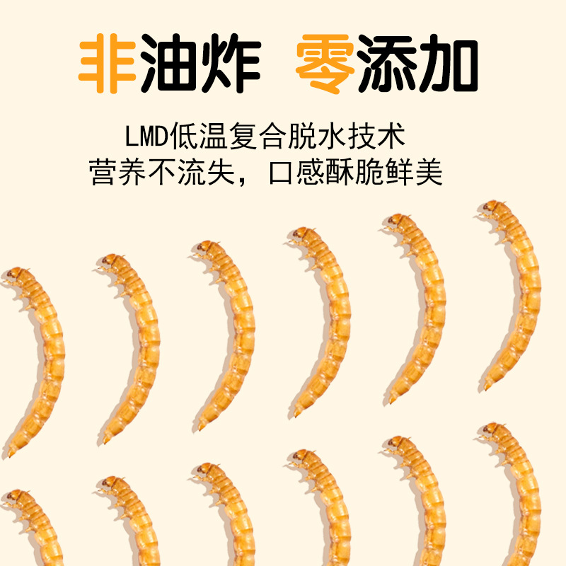 고단백 간식 햄스터 사료 새 고슴도치 기니피그 아로와나 - Food Snacks With High Protein 리뷰 및 가격