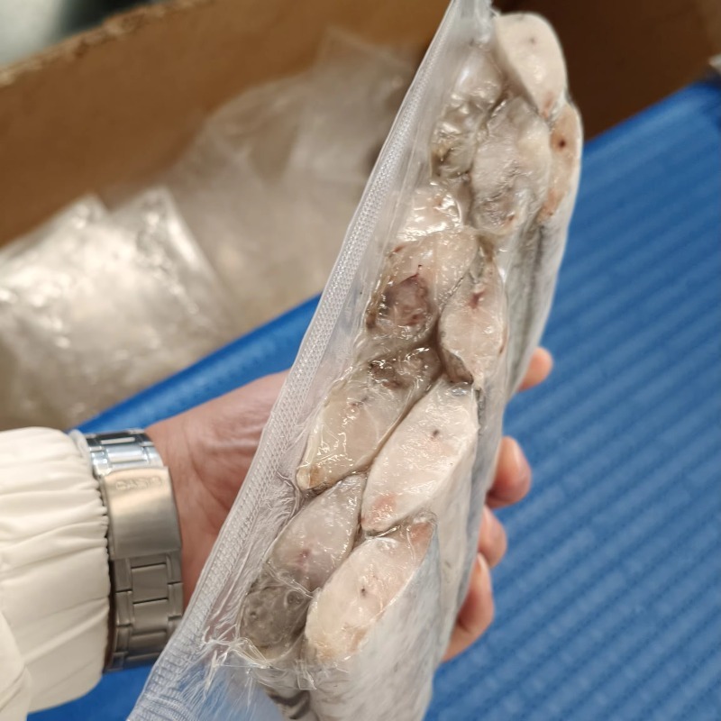 FL 맞춤형 스낵 산업 소형 열성형 진공 포장기 쇠고기 - Jerky Beef Pack 리뷰 및 가격
